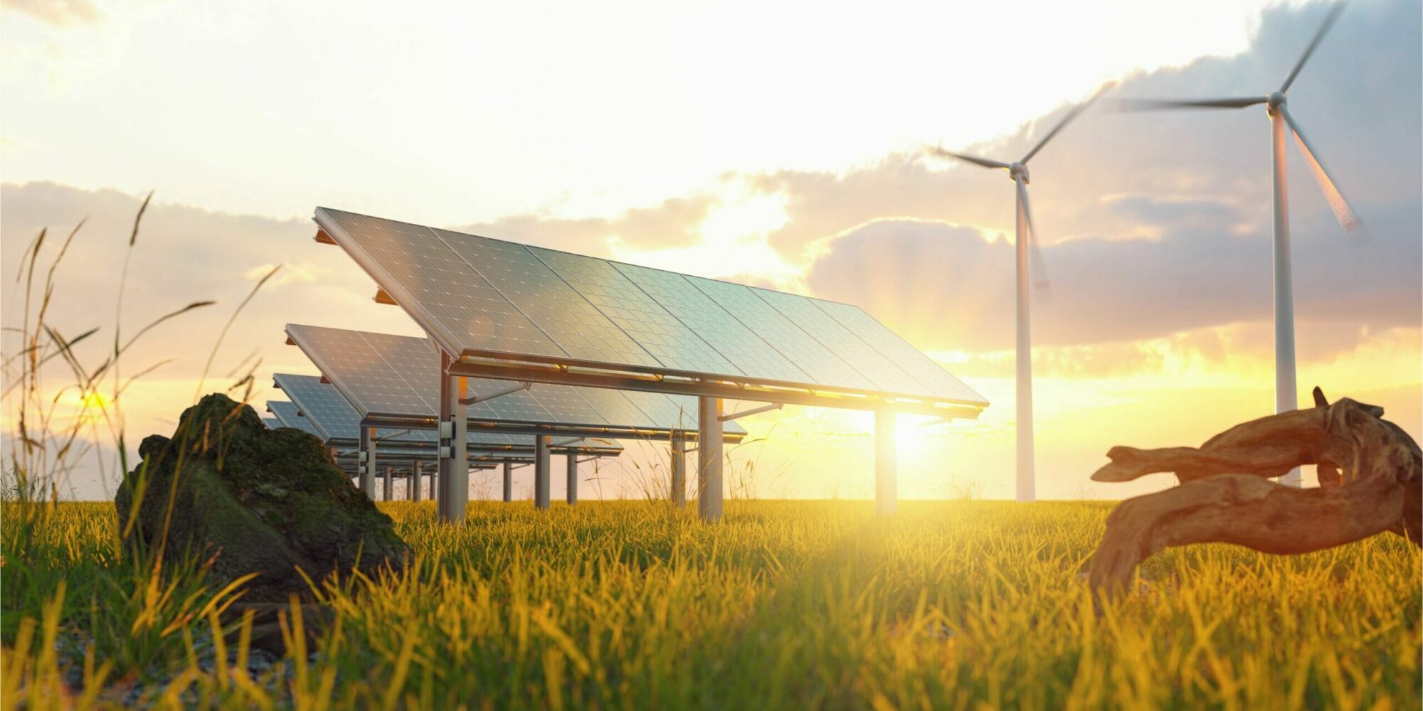 Option für erneuerbare Energien